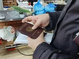 В Московской области задержаны 109 мигрантов: их ждет депортация