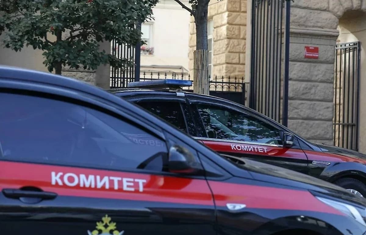 Челябинскда мигрант ўсмирларни жиноятга жалб қилган гуруҳ фош етилди
