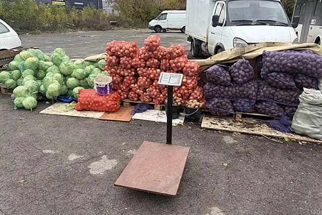В Новосибирске у мигрантов, занимавшихся незаконной торговлей, изъяли более 7 тонн продукции