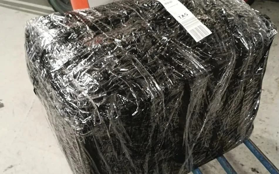 Attempt to smuggle 31 kg of radioactive mushrooms from Russia to Uzbekistan thwarted